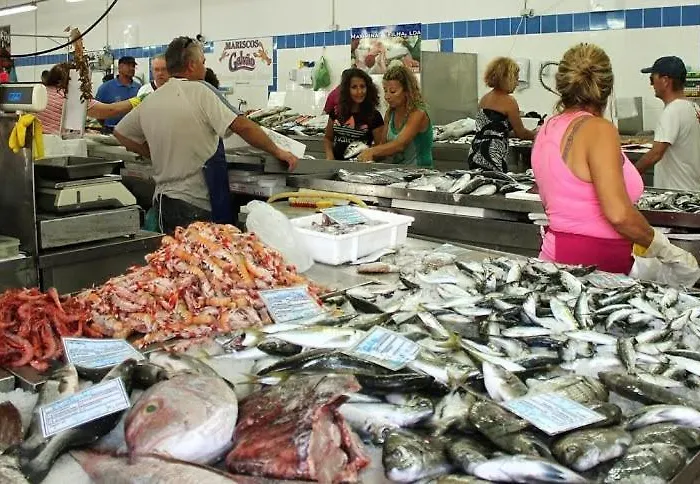 Coluna Mar